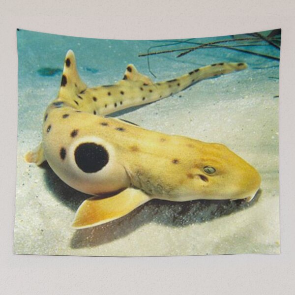 Item preview, Epaulette Shark trends designed and sold by elwandacunniff.