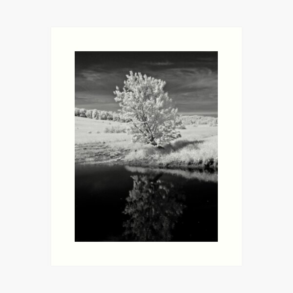 Item preview, Tree designed and sold by Jean-François Dupuis.