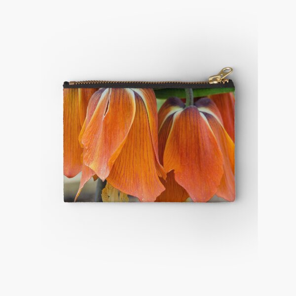 Item preview, Fritillaria  Imperialis 2 designed and sold by Christian PREVOT.