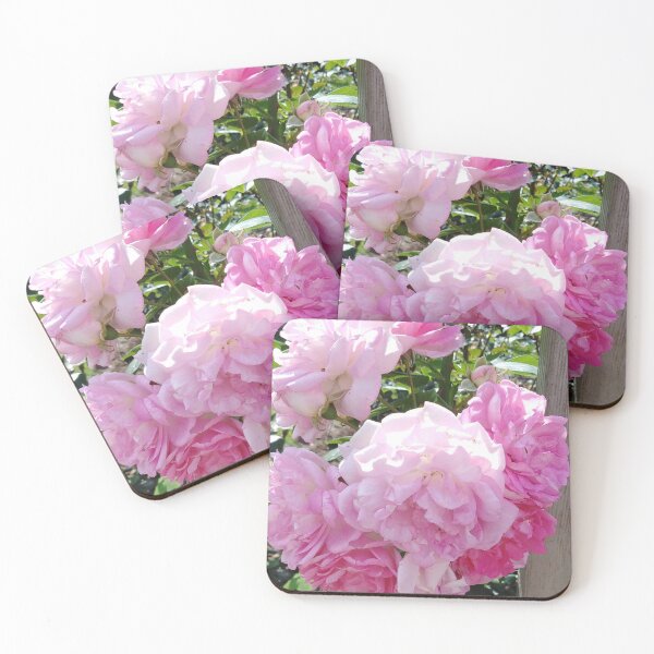 Item preview, A white pink rose is pure romance designed and sold by Raigitam.