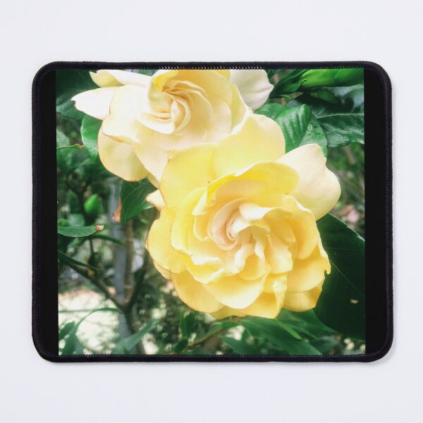 Item preview, Gardenias for GG designed and sold by KazM.
