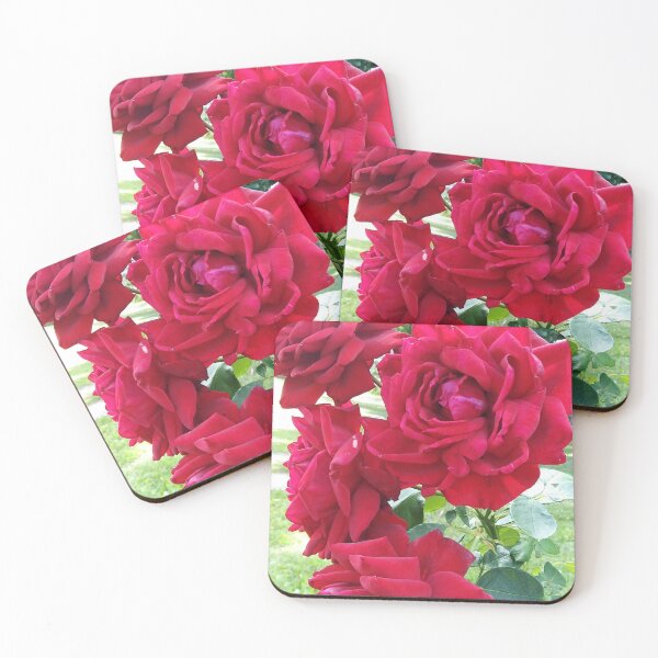 Item preview, A lush red rose is the perfect gift designed and sold by Raigitam.