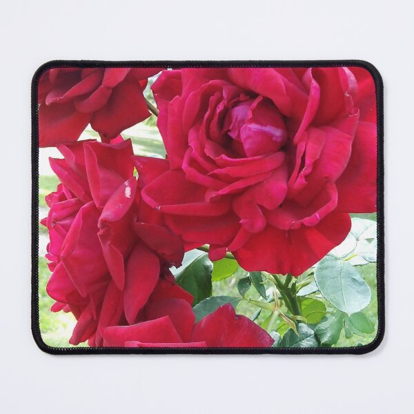 Item preview, A lush red rose is the perfect gift designed and sold by Raigitam.