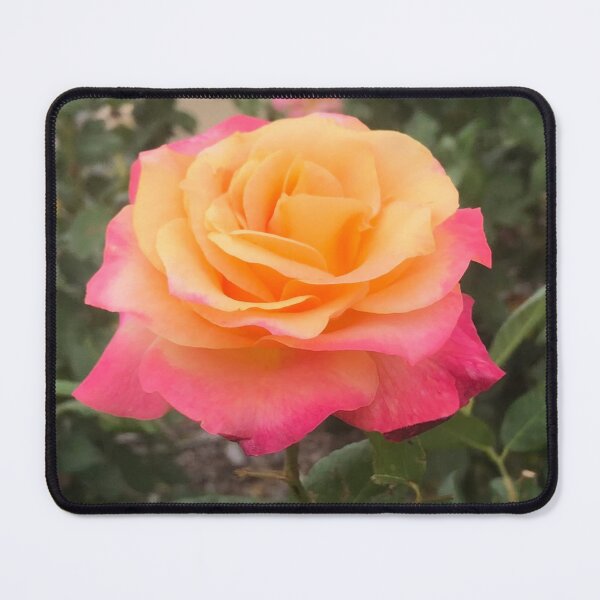 Item preview, Rose of Many Hues designed and sold by KazM.