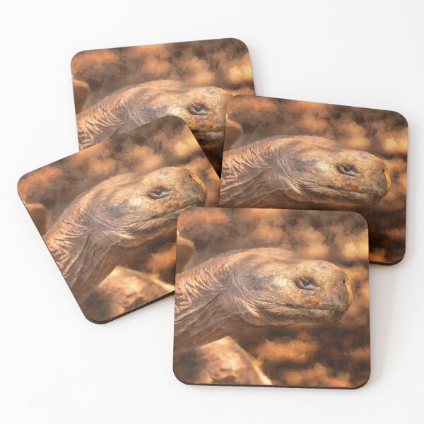 Item preview, terrapin tortoise designed and sold by Rafael Serrano Esguerra.