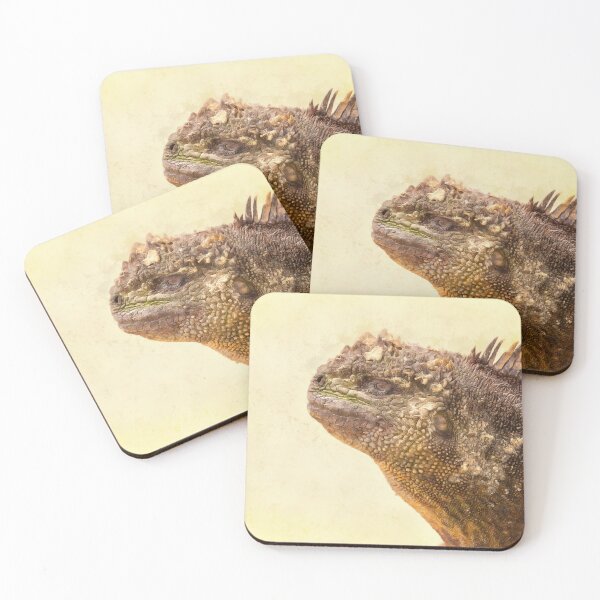 Item preview, Marine iguana designed and sold by Rafael Serrano Esguerra.
