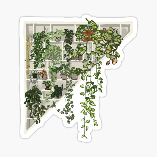 Item preview, Plants on shelf designed and sold by Helenahs.