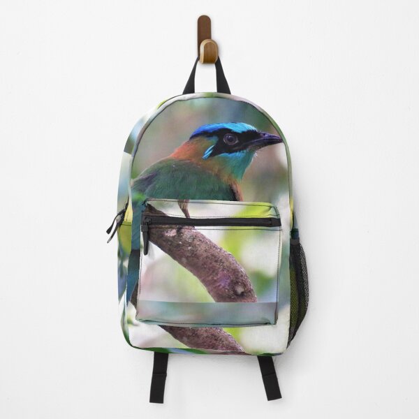 Item preview, Blue Crowned Motmot Perching on Branch Photo designed and sold by julyperson.
