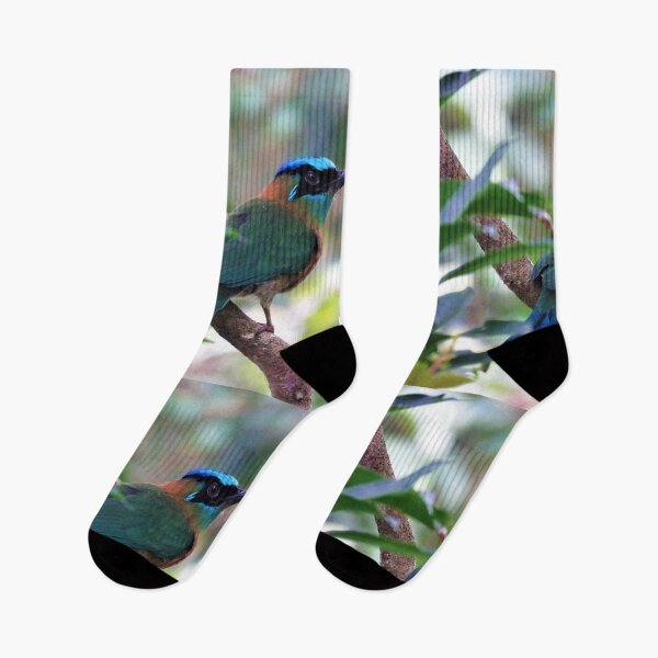 Item preview, Blue Crowned Motmot Perching on Branch Photo designed and sold by julyperson.