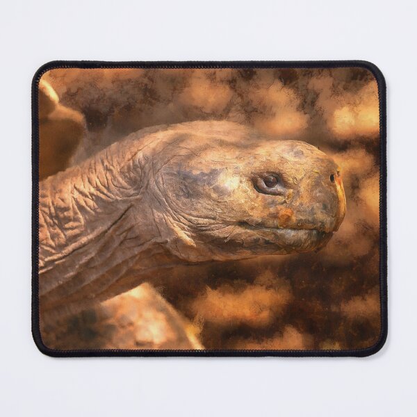 Item preview, terrapin tortoise designed and sold by Rafael Serrano Esguerra.