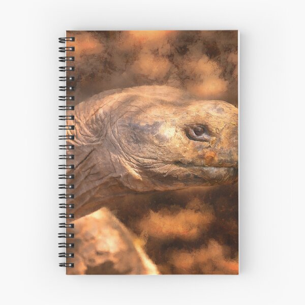 Item preview, terrapin tortoise designed and sold by Rafael Serrano Esguerra.