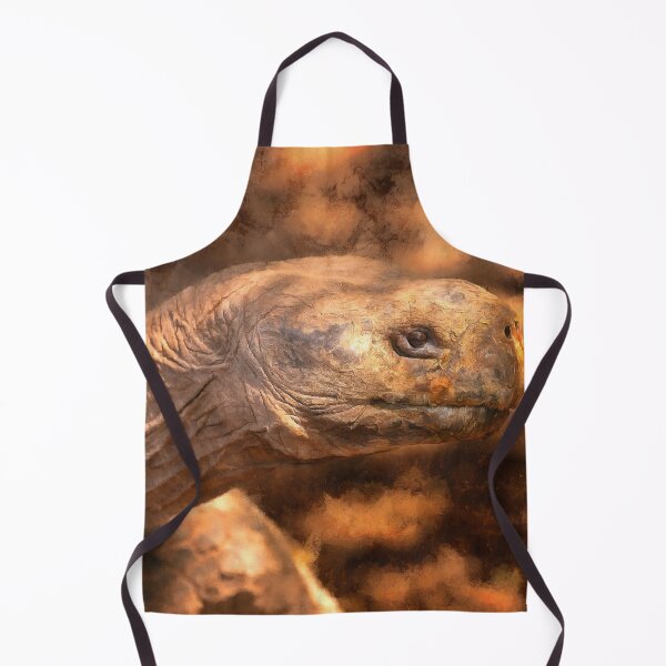 Item preview, terrapin tortoise designed and sold by Rafael Serrano Esguerra.
