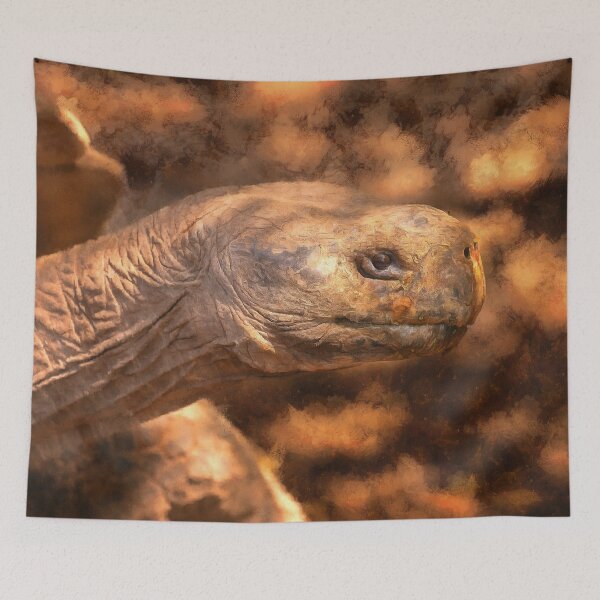 Item preview, terrapin tortoise designed and sold by Rafael Serrano Esguerra.