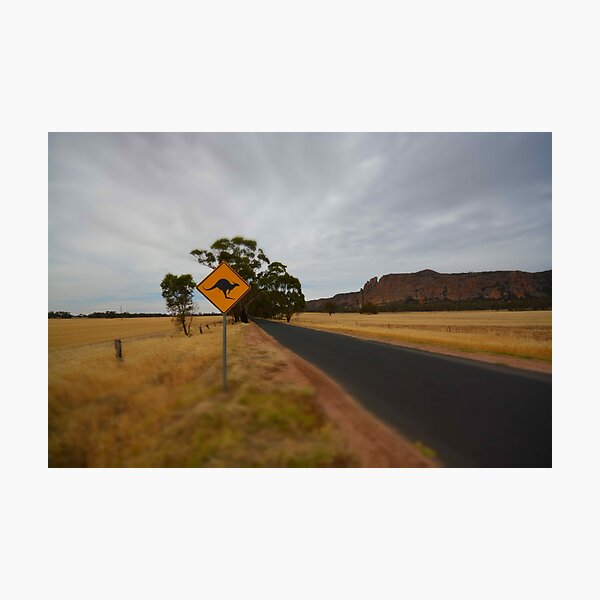 Item preview, Roo Crossing designed and sold by Joshua Westendorf.
