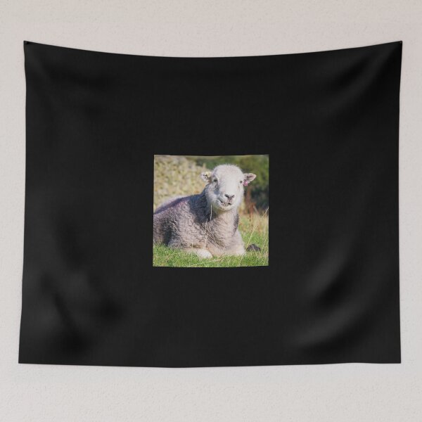 Item preview, Happy Herdwick Sheep, Lake District designed and sold by Beverley Goodwin.