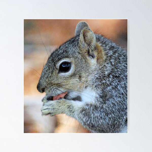 Item preview, Papa licking his nutty fingers designed and sold by Lenny La Rue, IPA.