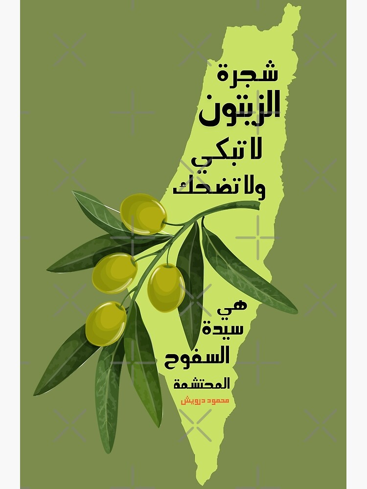  mahmoud darwish olive