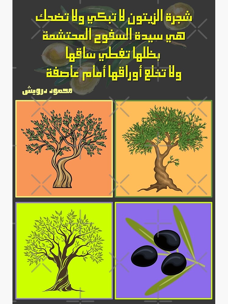  mahmoud darwish olive tree peace poem 