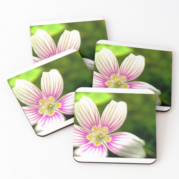 Item preview, Mountain Woodsorrel designed and sold by Jason Tompkins.