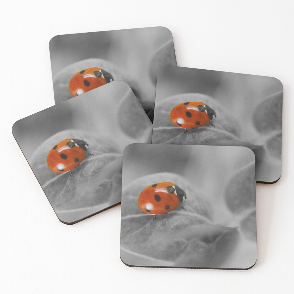 Item preview, Coasters (Set of 4) designed and sold by rawshutterbug.