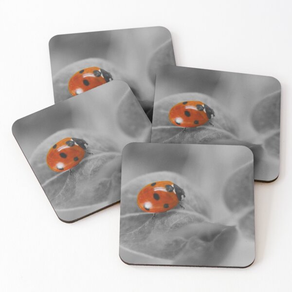 Item preview, Lady Bug designed and sold by rawshutterbug.
