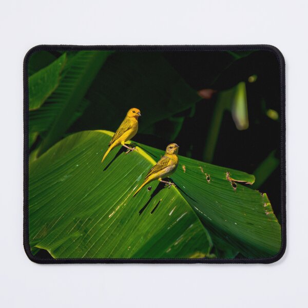 Item preview, Mr and Mrs Saffron Finch designed and sold by alabca.