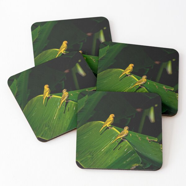 Item preview, Mr and Mrs Saffron Finch designed and sold by alabca.