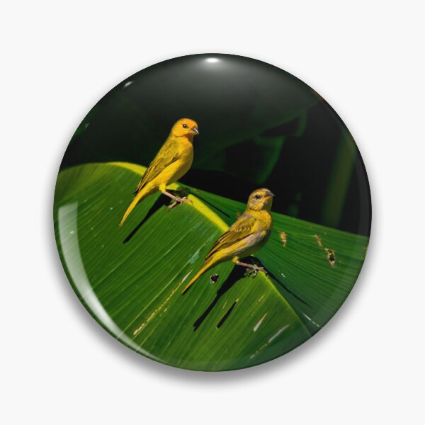 Item preview, Mr and Mrs Saffron Finch designed and sold by alabca.