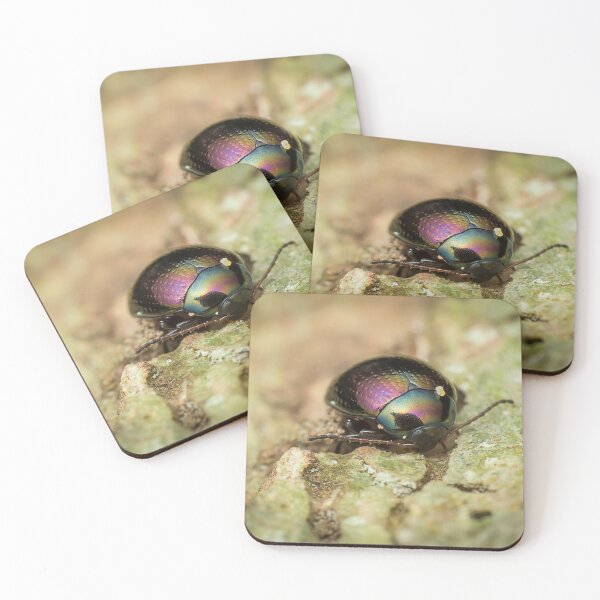 Item preview, Unique and organic photo of a beautiful iridescent leaf beetle designed and sold by AvonPerception.
