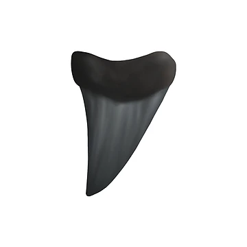 Artwork thumbnail, Mako Shark Tooth by Reeseworks
