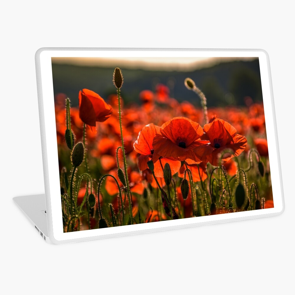Item preview, Laptop Skin designed and sold by mike-pellinni.