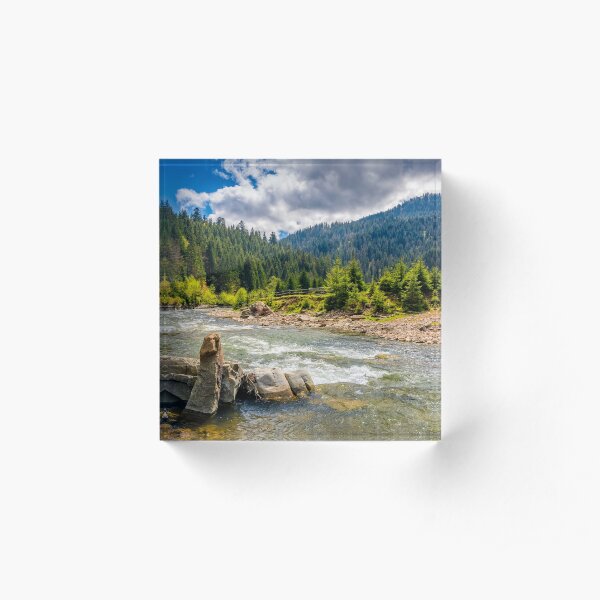 River among the forest in picturesque mountains in springtime Acrylic Block