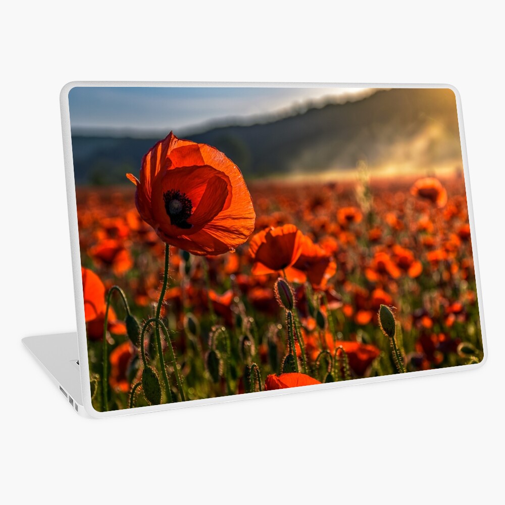 Item preview, Laptop Skin designed and sold by mike-pellinni.