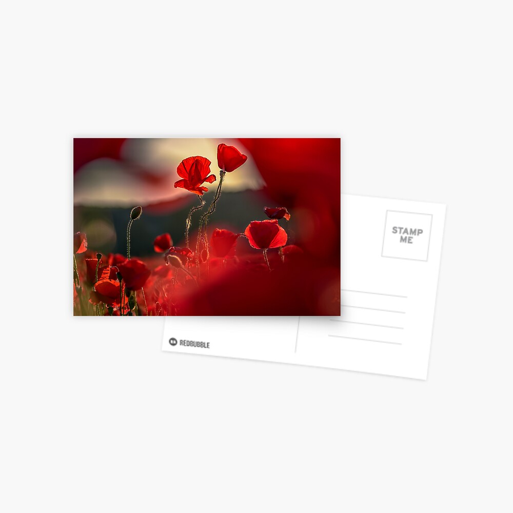 Item preview, Postcard designed and sold by mike-pellinni.