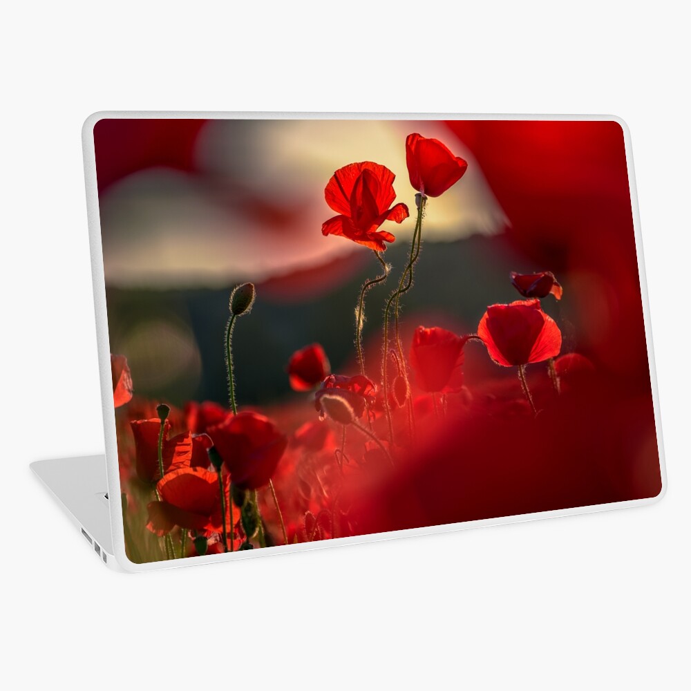 Item preview, Laptop Skin designed and sold by mike-pellinni.