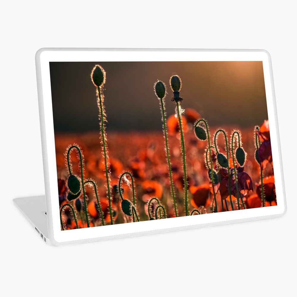 Item preview, Laptop Skin designed and sold by mike-pellinni.