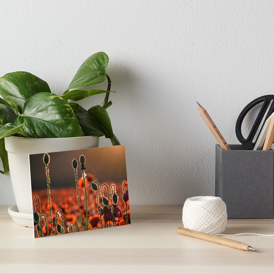 Item preview, Art Board Print designed and sold by mike-pellinni.