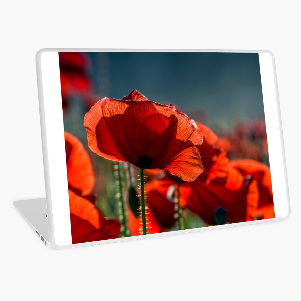 Item preview, Laptop Skin designed and sold by mike-pellinni.