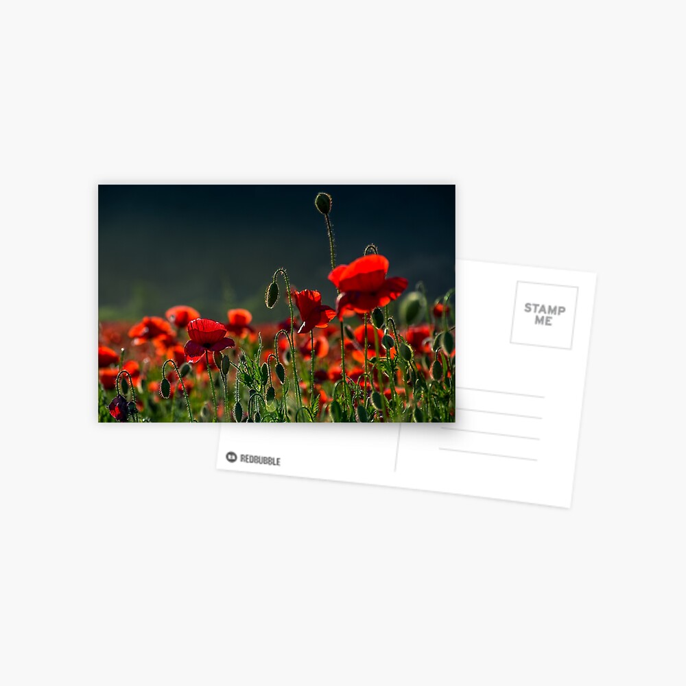 Item preview, Postcard designed and sold by mike-pellinni.