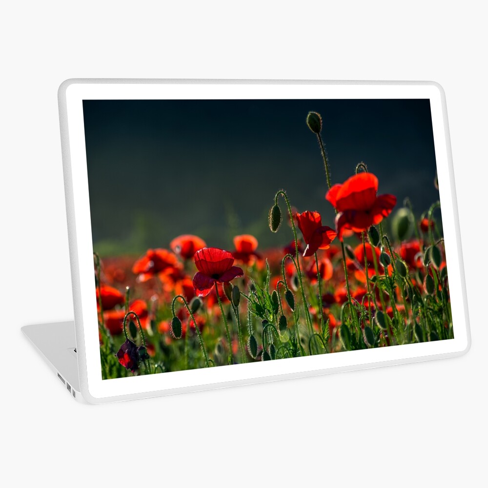 Item preview, Laptop Skin designed and sold by mike-pellinni.