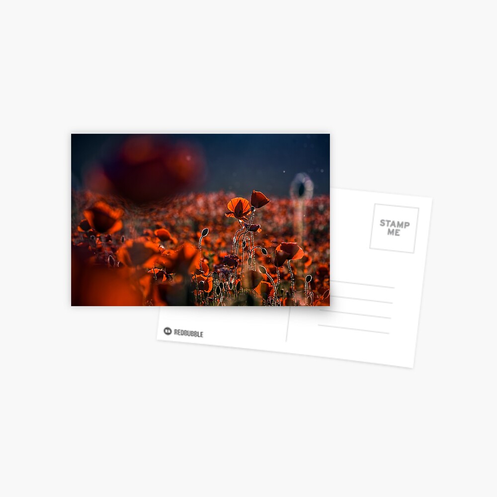 Item preview, Postcard designed and sold by mike-pellinni.