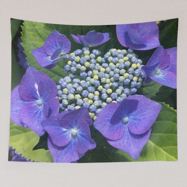 Item preview, A Perfect Blue Hydrangea Bloom designed and sold by Photomersion.