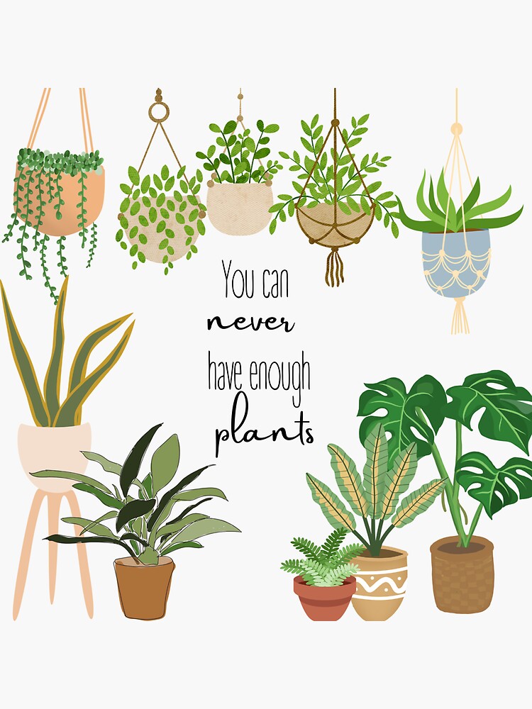 "You can never have too many plants. Design for all plant moms and