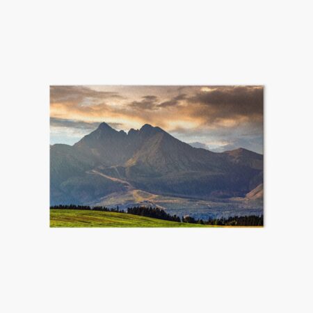 rural field in Tatra mountains Art Board Print