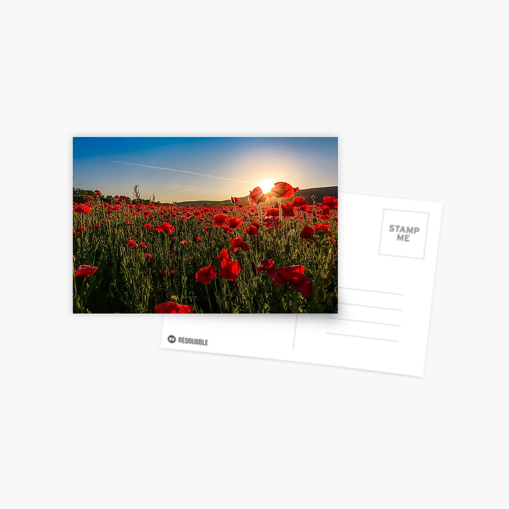 Item preview, Postcard designed and sold by mike-pellinni.