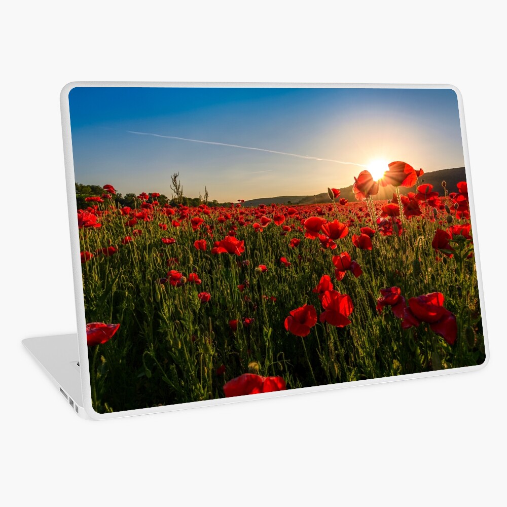 Item preview, Laptop Skin designed and sold by mike-pellinni.