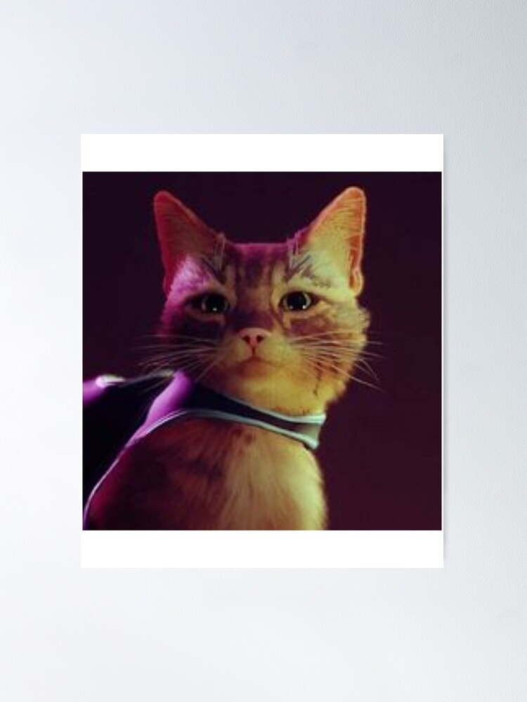 stray game cat sad Poster for Sale by WellingtonAdams