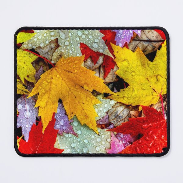 Item preview, Autumn Leaves designed and sold by johnnyssandart.