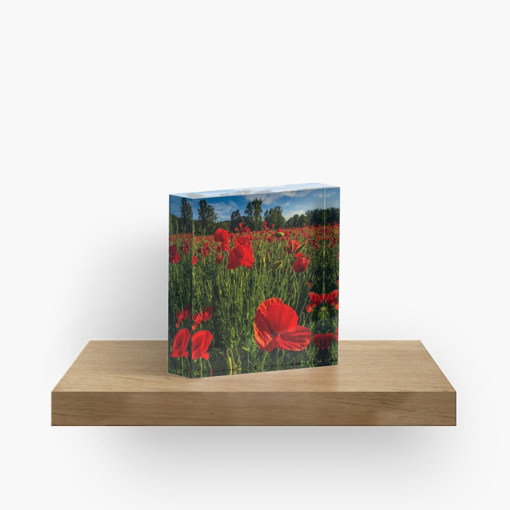 Item preview, Acrylic Block designed and sold by mike-pellinni.