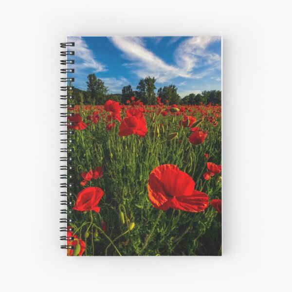 poppy flowers field in mountains Spiral Notebook